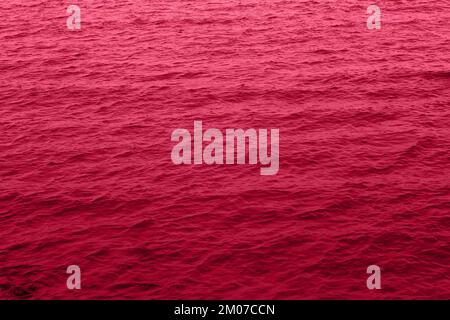 Viva texture magenta de l'eau de mer. Eau de piscine avec reflets de soleil. Couleur tendance 2023 ans. Banque D'Images