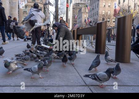 New York, États-Unis. 04th décembre 2022. NEW YORK, NEW YORK - DÉCEMBRE 04 : un homme entouré de pigeons lit un livre devant la cathédrale Saint-Patrick de 04 décembre 2022 à New York. Dimanche Fifth Avenue a fermé pendant plusieurs heures dans le cadre du lancement officiel de « Fifth Avenue for All », un nouveau programme qui transformera 5th Avenue de 47th à 57th rues, en une expérience piétonne tous les dimanches de décembre, marquant ainsi la plus grande rue ouverte de la ville en période de vacances. Crédit : Ron Adar/Alay Live News Banque D'Images