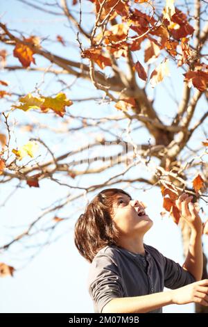 Atteindre le ciel. Un petit garçon qui se lève pour toucher les feuilles d'automne. Banque D'Images