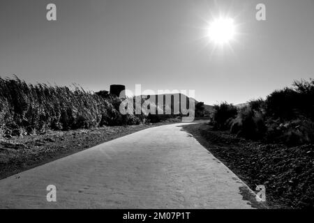Ancienne tour et chemin entouré de roseaux et de végétation dans la plage de Playazo, Rodalquilar, Almeria Banque D'Images