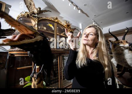 LE BIZARRE ET LE MERVEILLEUX AUX ENCHÈRES CARÉES Rachael Osborn-Howard tenant un rare os d'oiseau de Dodo, l'oiseau de proie disparu depuis 1690 vers. Banque D'Images