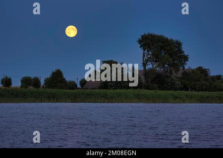 Lune, pleine lune sur le paysage de Bodden, longue exposition, Wustrow, Saaler Bodden, Fischland, Mer Baltique, Allemagne, Europe Banque D'Images