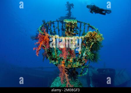 Belvédère surcultivé avec des coraux doux colorés (Dendronephthya) nid de Crow de l'épave Cedar Pride dans le golfe d'Aqaba, au-dessus du plongeur, en bas à droite entonnoir Banque D'Images