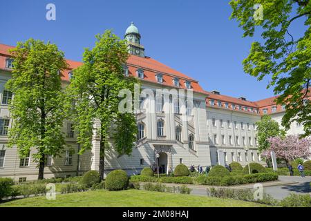 Herzzentrum, Charite, Augustenburger Virchow-Klinikum Platz, Mariage, Mitte, Berlin, Deutschland Banque D'Images