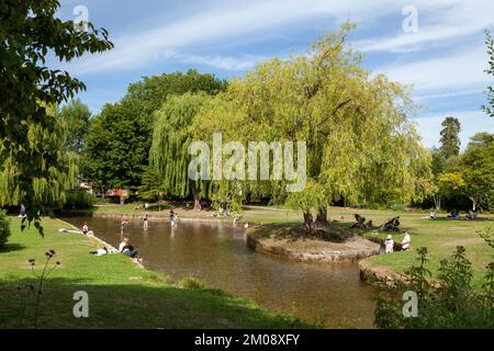 Les gens qui apprécient le temps d'été dans les jardins Queen Elizabeth Salisbury Banque D'Images