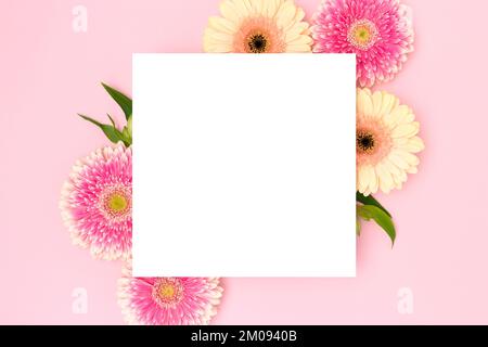 Nettoyer la maquette de papier carré. Cadre en feuilles vertes et fleurs de gerbera sur fond rose. Banque D'Images