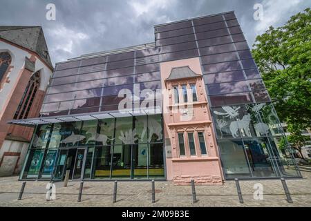 Musée Naturhistorisches, Reichklarastraße, Mayence, Rheinland-Pfalz, Allemagne Banque D'Images