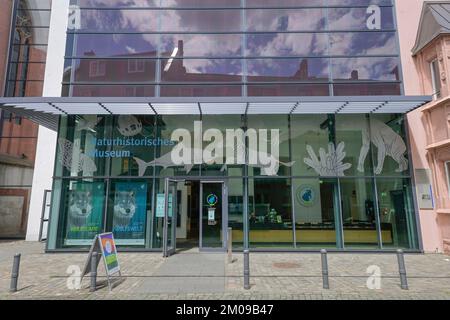 Musée Naturhistorisches, Reichklarastraße, Mayence, Rheinland-Pfalz, Allemagne Banque D'Images