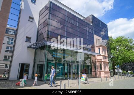 Musée Naturhistorisches, Reichklarastraße, Mayence, Rheinland-Pfalz, Allemagne Banque D'Images