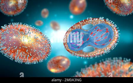 Coupe transversale d'un pathogène de la variole avec membrane cellulaire, nucléocapside, paroi cellulaire et glycoprotéines - illustration 3D Banque D'Images