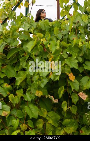 Buste de jeune homme avec des lunettes de soleil classiques parmi le Bush vert luxuriant Banque D'Images