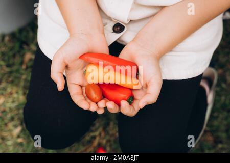 Les mains de la fille tenant un légumes de près. Banque D'Images