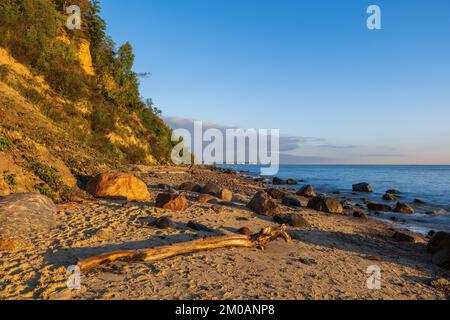 Lever du soleil sur une plage de sable avec des arbres tombés et des rochers rocheux dans la mer Baltique à Gdynia, Pologne. Banque D'Images