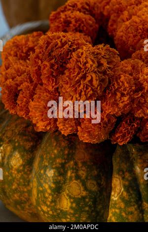 décoration avec fleurs de cempasuchil et potiron sur les fleurs orange, potiron utilisé comme vase Banque D'Images