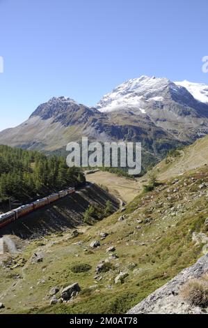 Der Bernina-Express fährt von Pontresina über den Bernina-Hospitz zur Alp Grüm und ins Puschlav weiter. Le train Bernina vous conduit au-dessus des Alpes suisses Banque D'Images