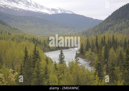 Rivière montagneuse bordée d'arbres Evergreen Banque D'Images