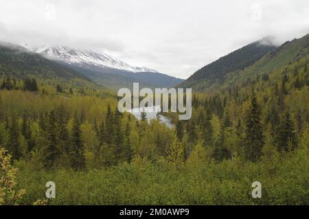 Rivière montagneuse bordée d'arbres Evergreen Banque D'Images