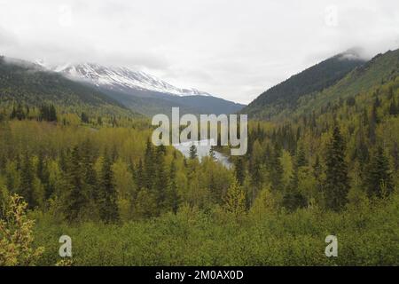 Rivière montagneuse bordée d'arbres Evergreen Banque D'Images