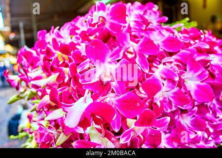 Le tas d'orchidées fraîches de couleur rose dans le marché aux fleurs de Pak Khlong Talat dans le centre de Bangkok, en Thaïlande Banque D'Images