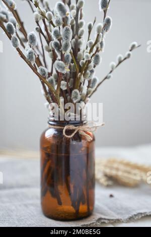 Décoration de Pâques - vase avec branches de saule sur la table dans un vase en verre brun foncé. Concept Palm Sunday avec espace de copie. Photo de haute qualité Banque D'Images