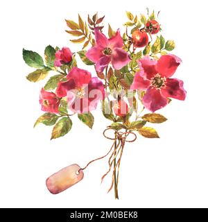 Briar aquarelle à motif chien et rose avec baies, fleurs et feuilles vertes, isolé sur fond blanc. Brunch à base de briar botanique dessiné à la main. Banque D'Images