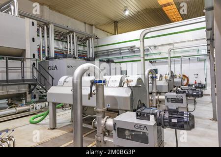 Huelva, Espagne - 4 décembre 2022: Intérieur d'un moulin à huile d'olive. Usine d'huile d'olive extra vierge de marque Olibeas dans le village de Beas, province de Huelva, Banque D'Images