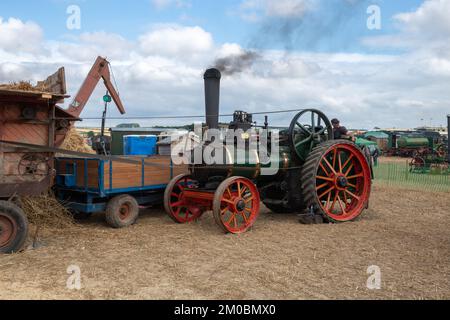 Tarrant Hinton.Dorset.United Kingdom.25 août 2022.A restauré 1902 Marshall moteur de traction à usage général alimente un battage à l'ancienne Banque D'Images