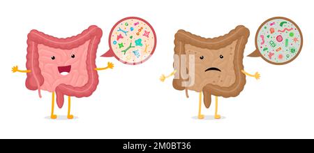 Intestin caractère bactérias microscopiques grossissement comparaison. Mascotte de l'intestin humain microbiome sain et malsain. Mauvaise et bonne microflore intestinale. Flore probiotique de l'organe interne digestif. EPS Illustration de Vecteur
