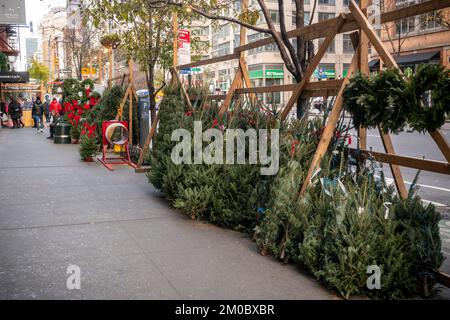 Arbre de Noël sellerÕs forêt dans le quartier de Chelsea à New York lundi, 28 novembre 2022. (© Richard B. Levine) Banque D'Images