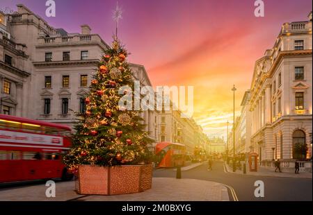 Londres, Royaume-Uni - 23 novembre 2022 : arbre de Noël dans le centre de Londres, Angleterre Banque D'Images