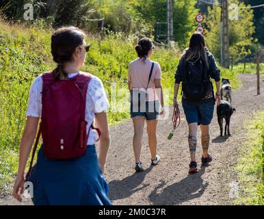 Trois jeunes femmes à l'apparence alternative marchant sur un sentier de montagne facilement accessible avec leurs chiens. Midi. Banque D'Images