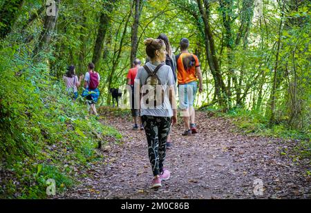 Groupe d'amis marchant dans une forêt verte luxuriante avec de nombreuses feuilles mortes sur le sol. Derrière tout marche une femme regardant de côté Banque D'Images