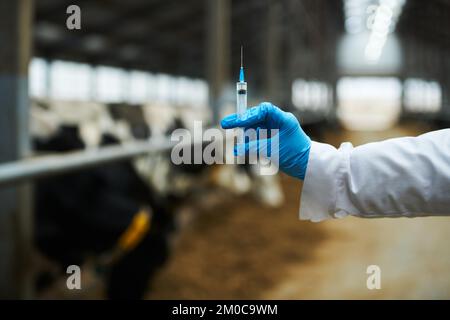 Main du vétérinaire dans des gants et une blouse de laboratoire tenant la seringue avec le vaccin contre un nouveau virus dangereux ou une maladie infectieuse avant la vaccination Banque D'Images