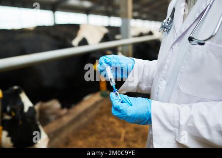 Gros plan d'un vétérinaire moderne en gants et en blouse de laboratoire tenant une seringue avec un nouveau vaccin tout en allant vacciner les vaches dans le cowfarm Banque D'Images