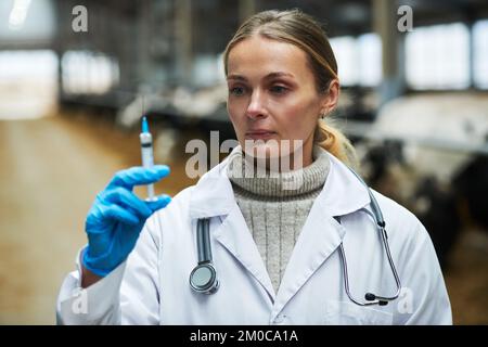 Jeune femme vétérinaire en blouse de laboratoire et gants de protection préparant le vaccin en seringue tout en se tenant devant l'appareil photo dans le cowfarm Banque D'Images