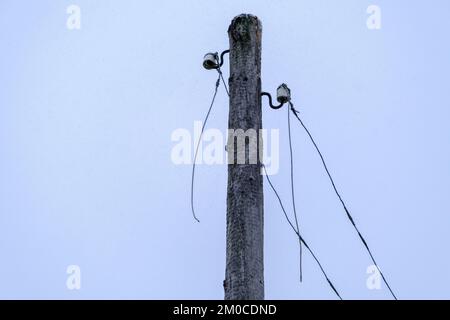 Pylône électrique en bois ancien inutile avec des fils cassés. Banque D'Images