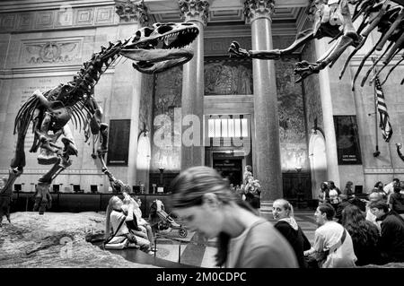 Musée américain d'Histoire naturelle. Central Park West jusqu'à 79th Street, Manhattan, New York, États-Unis. Expositions de squelette de dinosaure dans la salle principale de l'Am Banque D'Images