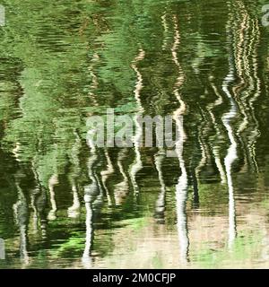 Photographie abstraite en couleur, montrant les eaux des bois dans un cadre vraiment sauvage, l'image est un résumé en couleur avec un style proche d'impressionnisme, Banque D'Images