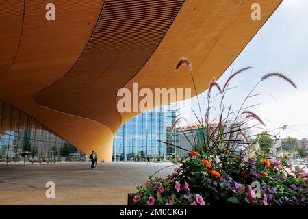 Helsinki, Finlande - 22 août 2022 : Bibliothèque centrale d'Helsinki Oodi avec toit circulaire en bois et fenêtres en verre. Lieu de rencontre avec gamme de services dans un design moderne à la place Kansalaistori. Banque D'Images