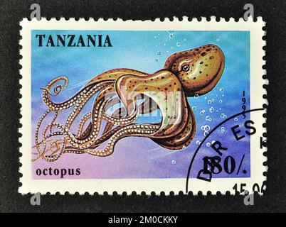 Timbre-poste annulé imprimé par la Tanzanie, qui montre Octopus, vers 1995. Banque D'Images