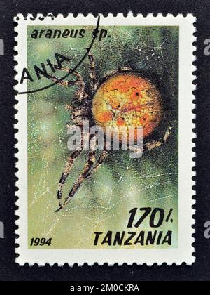 Timbre-poste annulé imprimé par la Tanzanie, qui montre l'araignée d'Araneus, vers 1994. Banque D'Images