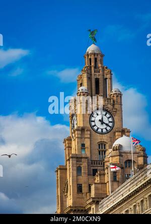 Bâtiment historique à albert Dock à Liverpool, Royaume-Uni. Bâtiment Royal Liver Banque D'Images