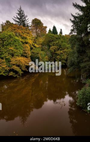 Marche le long de la rivière Derwent en automne, Derbyshire, Angleterre Banque D'Images