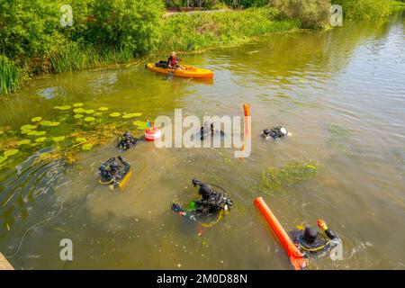 Plongeurs effectuant un nettoyage de rivière sur les rivières Chelmer et CAN à Chelmsford Essex Banque D'Images