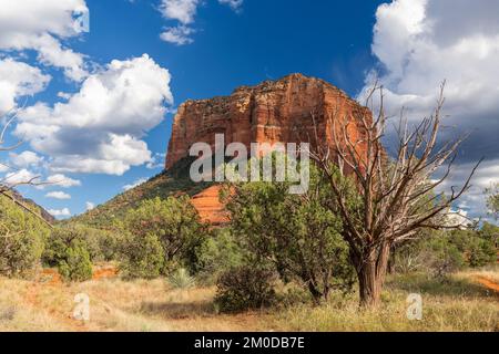 Courhouse Butte, près de Sedona, Arizona, États-Unis, octobre, Par Dominique Braud/Dembinsky photo Assoc Banque D'Images