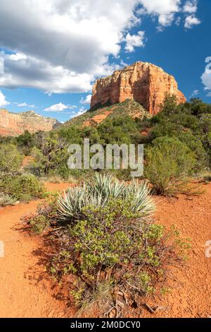 Courhouse Butte, près de Sedona, Arizona, États-Unis, octobre, Par Dominique Braud/Dembinsky photo Assoc Banque D'Images