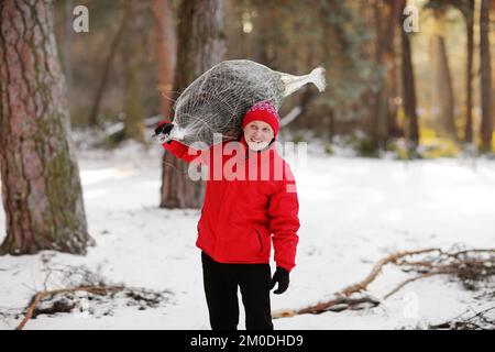 homme souriant portant un arbre de noël fraîchement coupé dans la forêt. Le jeune bûcheron porte un sapin sur son épaule dans les bois. Comportement irresponsable t Banque D'Images