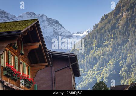 Fleurs dans un chalet rustique au printemps avec des montagnes, Interlaken, Suisse Banque D'Images