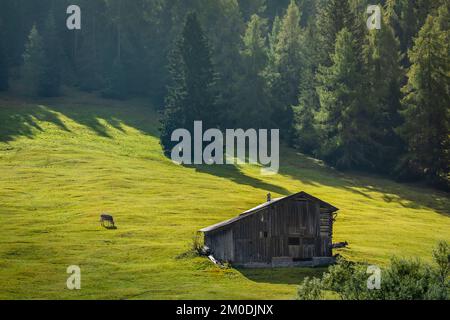 Alpes suisses bernoises et ferme alpine avec vache solitaire, Suisse Banque D'Images