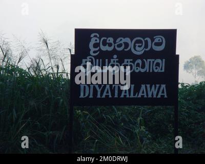 Des trajets en train pour le pays de Hill, Nuwara Eliya, Sri Lanka. Banque D'Images